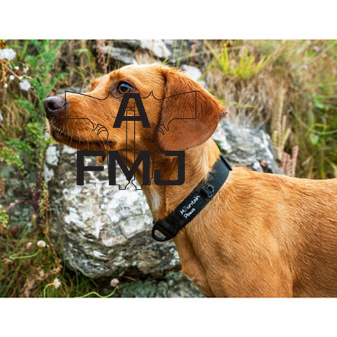 Mountain Paws Dog Collar
