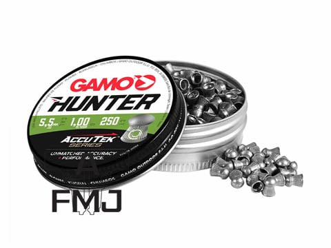 Gamo Hunter AccuTek 5.50mm